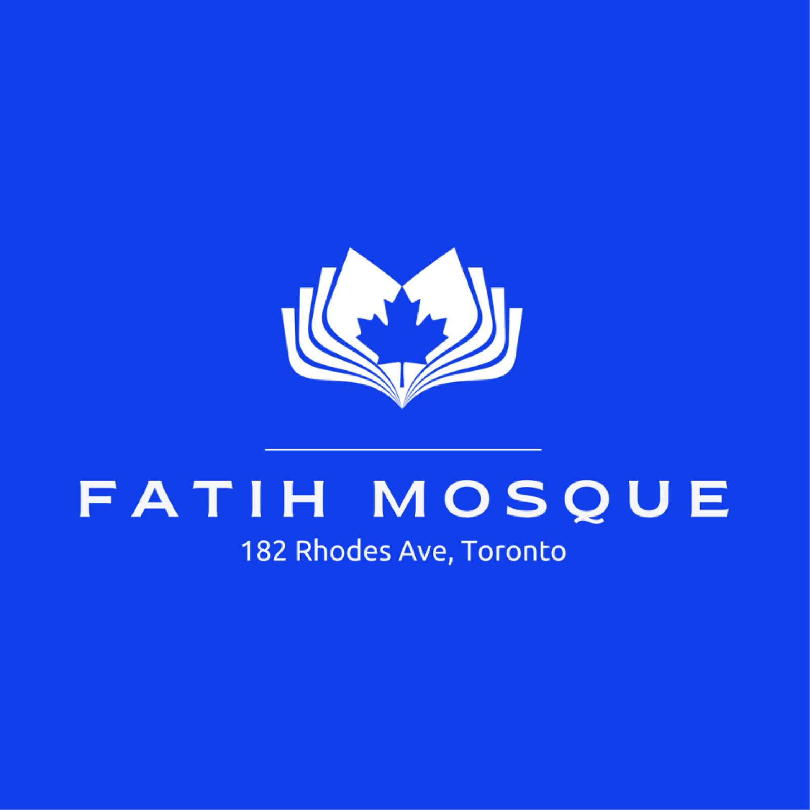 Fatih Mosque Logo